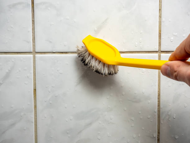 Spanaway, WA Mold Removal Company