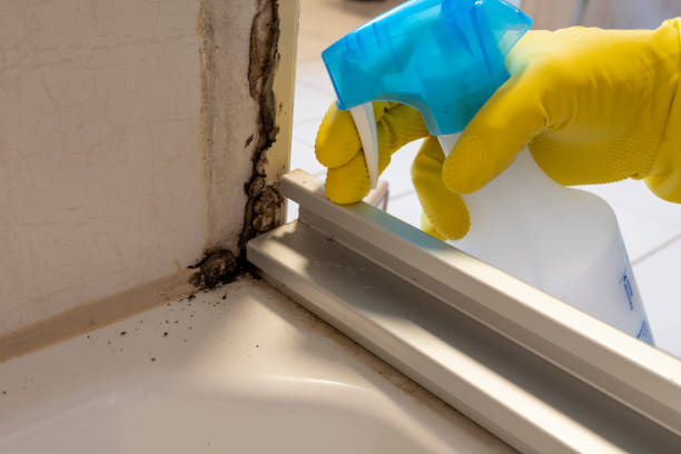 Best Mold Testing  in Spanay, WA