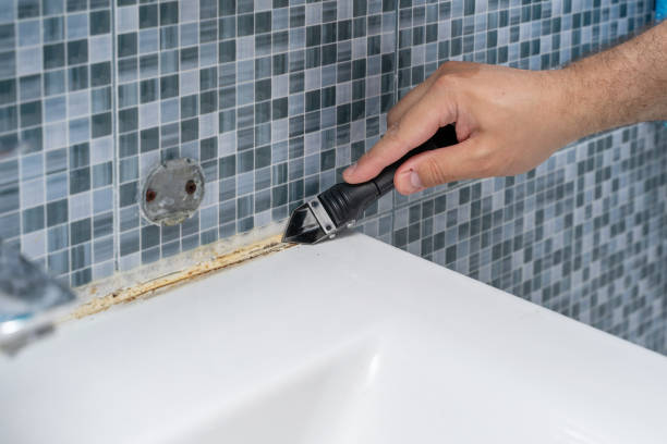 Best Black Mold Removal  in Spanay, WA