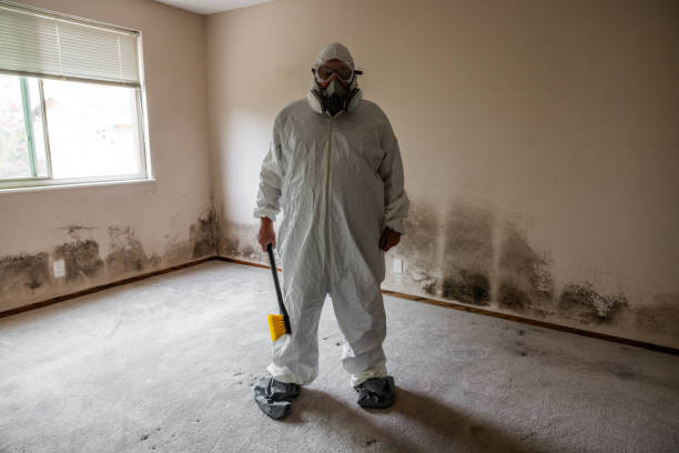 Best Office Mold Removal Services  in Spanay, WA
